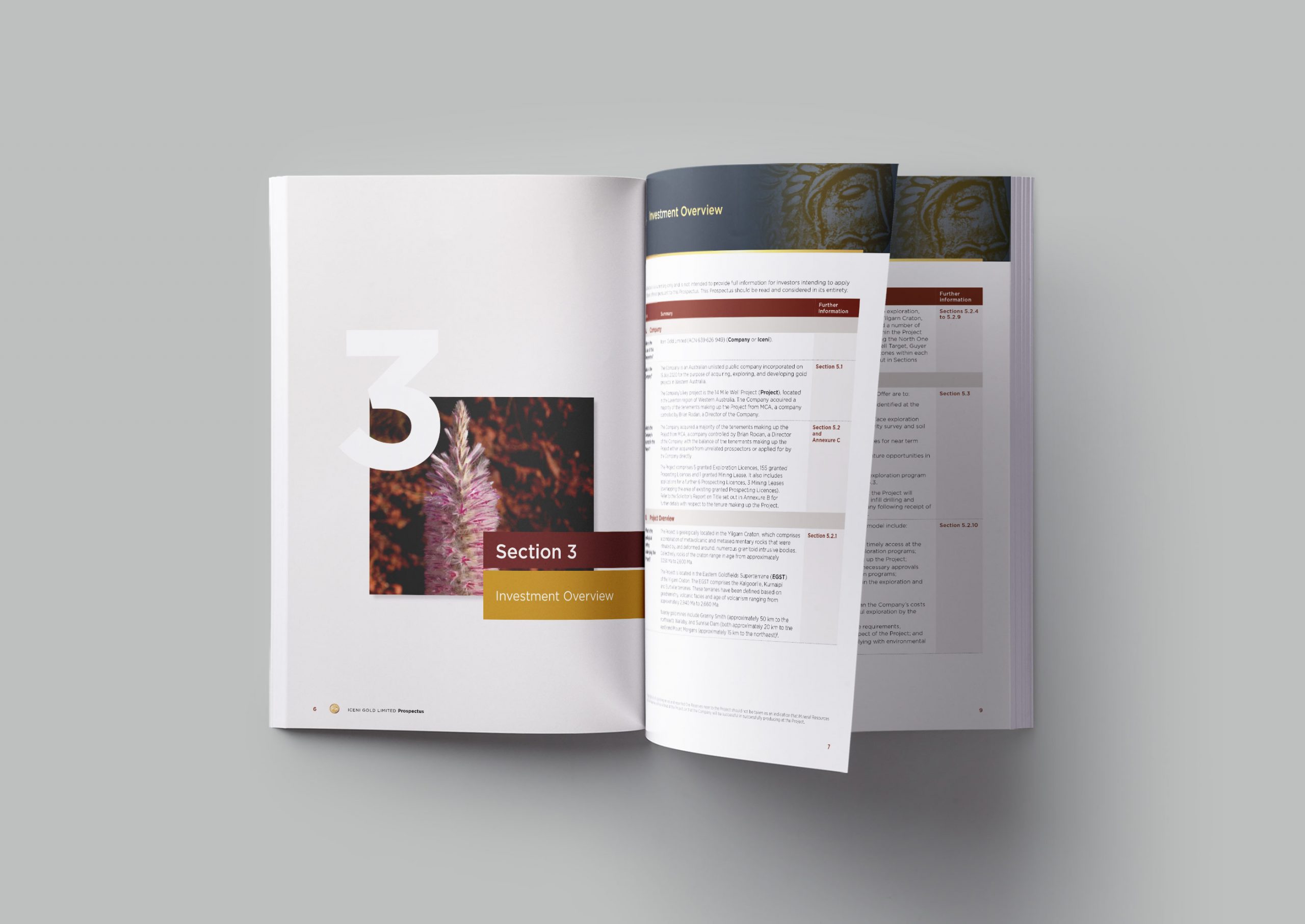 iceni gold ipo prospectus